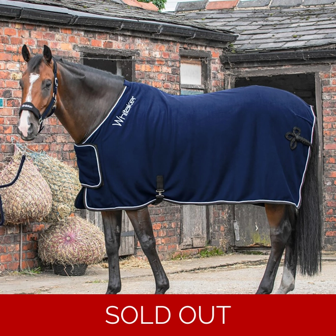 product Image for Whitaker R160 Club Show Rug  Navy